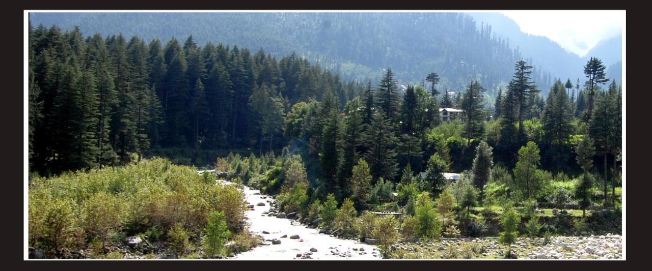 D'Chalet Manali Hotel Exterior photo